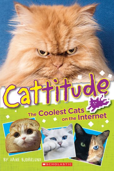 famous cats of the internet