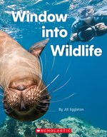 Connectors Silver: Window into Wildlife x 6