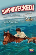 PM Ruby: Shipwrecked! (PM Guided Reading Fiction) Level 28 (6 books)