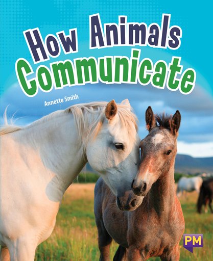 PM Ruby: How Animals Communicate (PM Guided Reading Non-fiction) Level 27 (6 books)