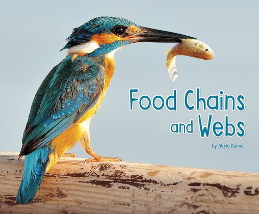 Life Science: Food Chains and Webs