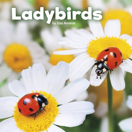 Little Creatures: Ladybirds