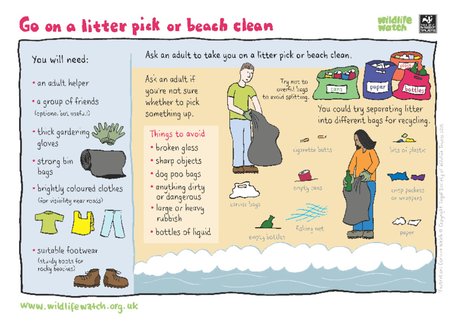 Litter pick or beach clean Litter pick or beach clean