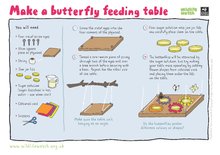 Build a butterfly feeding table