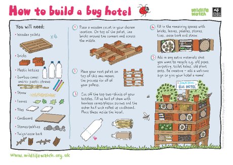 Build a bug hotel Build a bug hotel