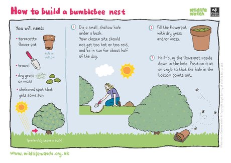 Build a bumblebee nest Build a bumblebee nest
