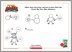 Download How to Draw B'ob Activity Sheet