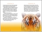 Life of Pi - Sample Page (1 page)