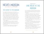 Night at the Museum: Secret of the Tomb - Sample Page (1 page)