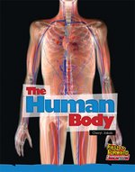 Fast Forward Blue: The Human Body (Non-fiction) Level 11