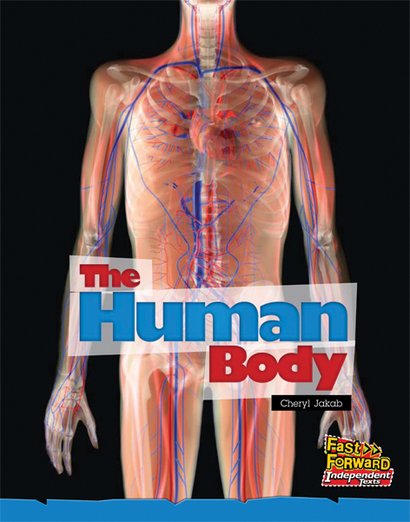 The Human Body (Non-fiction) Level 11