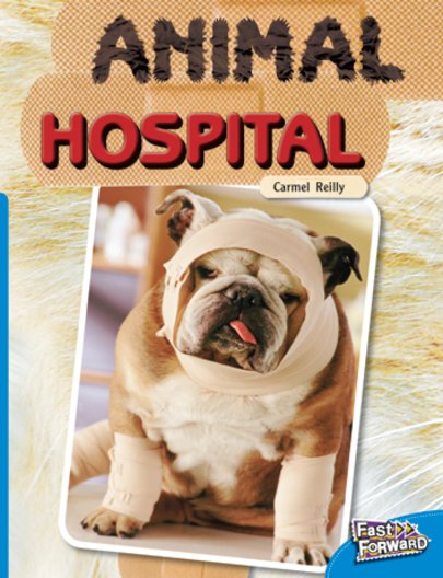 Animal Hospital (Non-fiction) Level 10