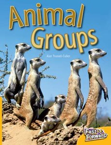 Animal Groups (Non-Fiction) Level 6