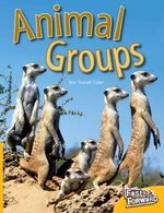 Fast Forward Yellow: Animal Groups (Non-fiction) Level 6