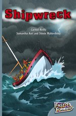 Fast Forward Silver: Shipwreck (Fiction) Level 24