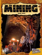 Fast Forward Gold: Mining (Non-Fiction) Level 22