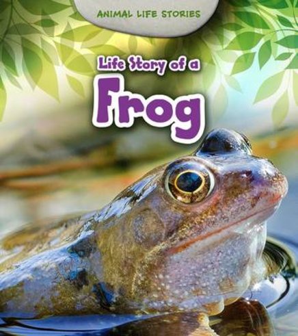 Life Story of a Frog