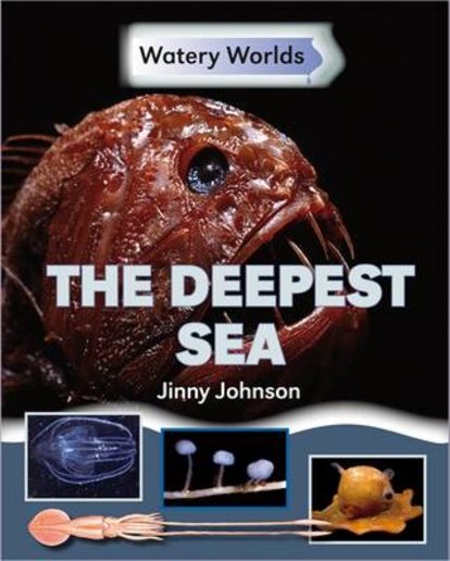Watery Worlds: The Deepest Sea