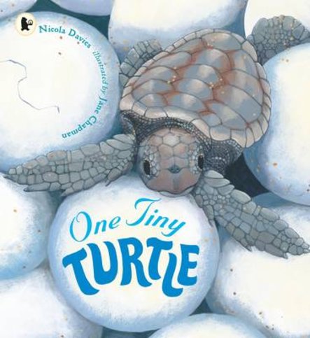 Nature Storybooks: One Tiny Turtle