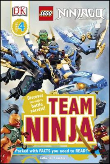 LEGO® Ninjago® - Team Ninja