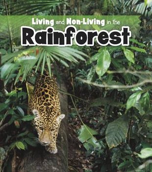 Living And Non-living In The Rainforest - Scholastic Shop