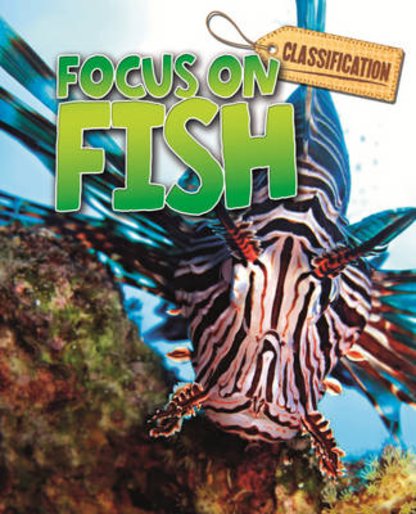 four fish book