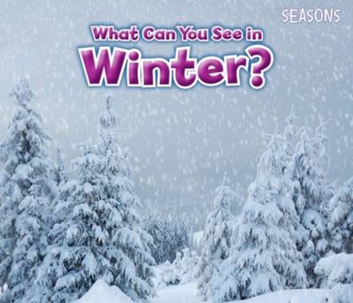What Can You See in Winter?