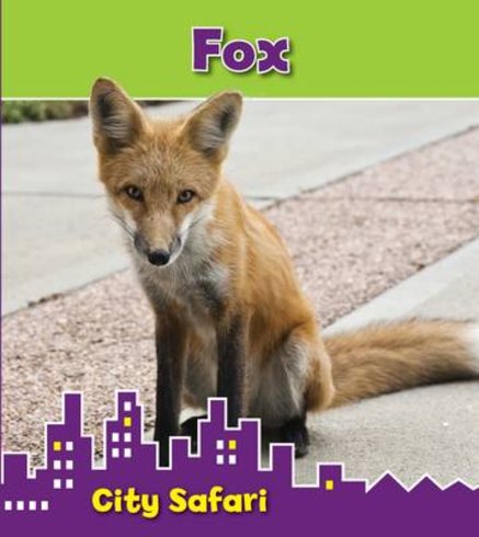 City Safari: Fox