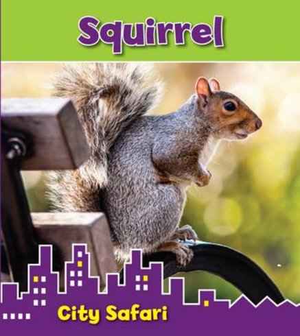 City Safari: Squirrel