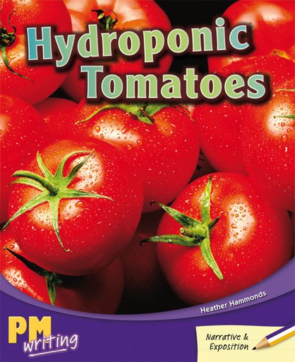 PM Writing 3: Hydroponic Tomatoes (PM Purple/Gold) Levels 20, 21 x 6