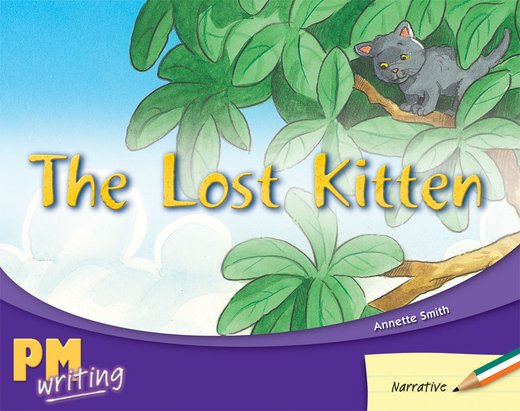 PM Writing 2: The Lost Kitten (PM Green/Orange) Levels 14, 15 x 6