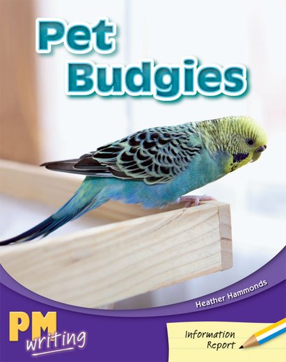 PM Writing 1: Pet Budgies (PM Yellow/Blue) Levels 8, 9 x 6