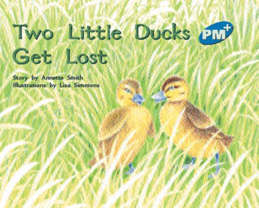 PM Blue: Two Little Ducks Get Lost (PM Plus Storybooks) Level 10 x 6
