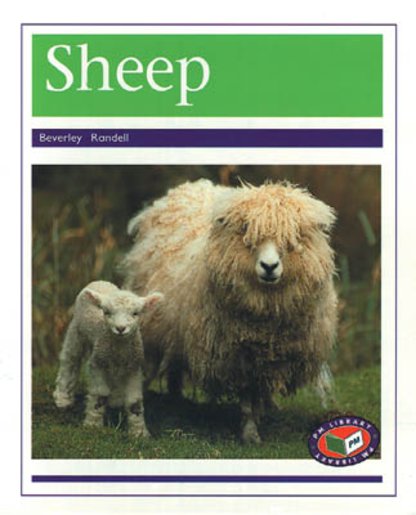 PM Purple: Sheep (PM Non-fiction) Levels 19, 20×6 - Scholastic Shop