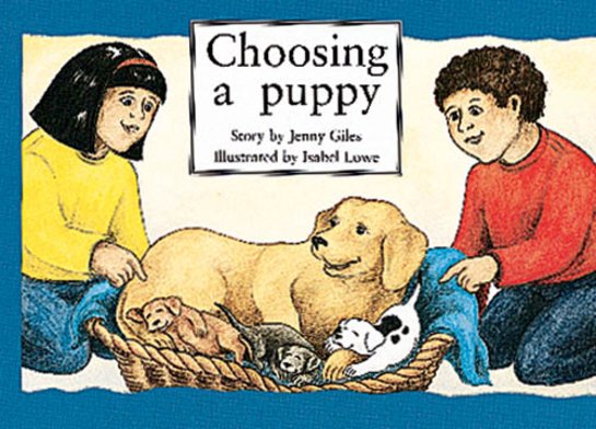 PM Yellow: Choosing a Puppy (PM Storybooks) Level 7 x 6