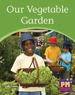PM Yellow: Our Vegetable Garden (PM Stars) Levels 8, 9 x 6