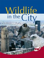 PM Ruby: Wildlife in the City (PM Plus Non-fiction) Levels 27, 28 x 6