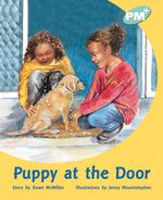 PM Turquoise: Puppy at the Door (PM Plus Storybooks) Level 18 x 6