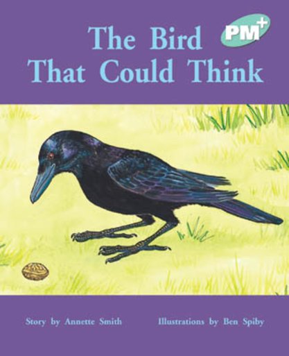 PM Turquoise: The Bird That Could Think (PM Plus Storybooks) Level 17 x 6