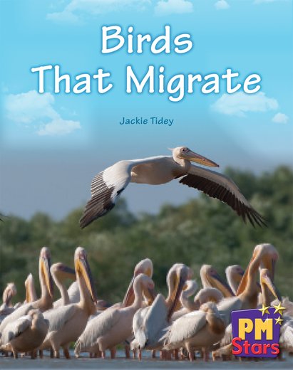 Birds That Migrate (PM Stars) Levels 9, 10, 11, 12