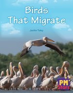 PM Blue: Birds That Migrate (PM Stars) Levels 9, 10, 11, 12