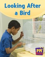 PM Green: Looking After a Bird (PM Stars) Level 14/15