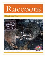 PM Gold: Raccoons (PM Non-fiction) Level 22