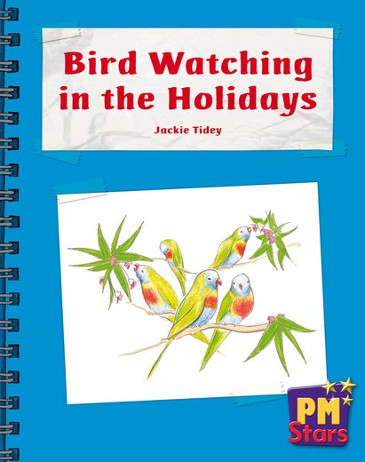 PM Blue: Bird Watching in the Holidays (PM Stars) Levels 11, 12 x 6