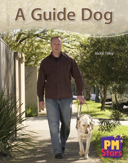 PM Blue: A Guide Dog (PM Stars) Levels 11, 12 x 6