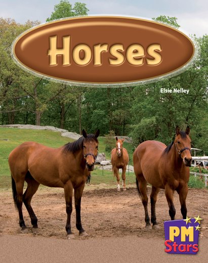 PM Blue: Horses (PM Stars) Levels 11, 12 x 6