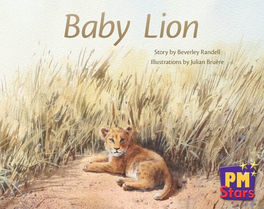 PM Red: Baby Lion (PM Stars) Level 4 x 6