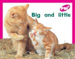 PM Magenta: Big and Little (PM Plus Starters) Level 2 x 6