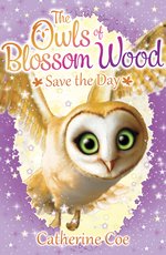 Blossom Wood: The Owls of Blossom Wood Save the Day