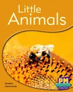 PM Yellow: Little Animals (PM Science Facts) Levels 8, 9 x 6